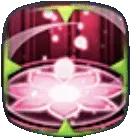 蓮華開花の画像