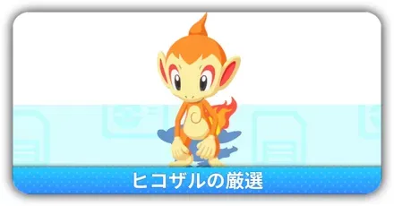 ヒコザル厳選