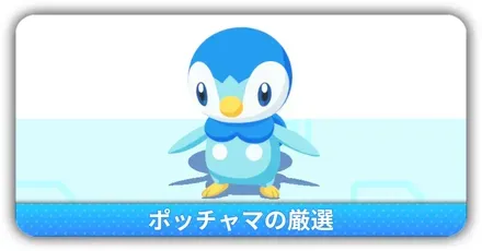 ポッチャマ厳選