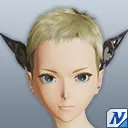 シュヴァルノワールヘアアクセ