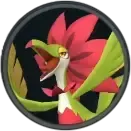フラペック画像