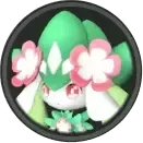 フラリーナ画像
