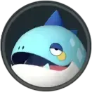 コチワニ画像