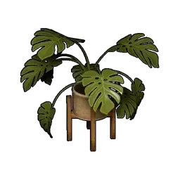 観葉植物画像