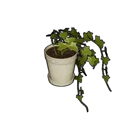鉢入り観葉植物画像