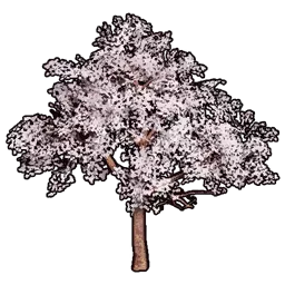 模型の桜B画像