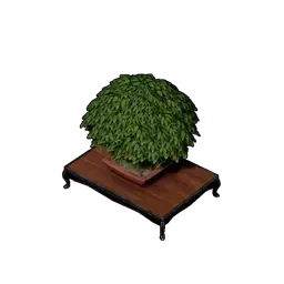 盆栽画像