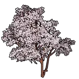 模型の桜A画像