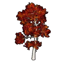 模型の紅葉樹C画像