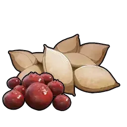 ベリーの種画像