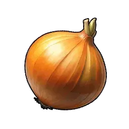 たまねぎ画像