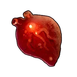 貴重な臓物画像