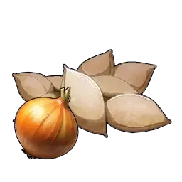 たまねぎの種画像