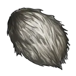 貴重な獣毛画像