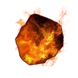 発火器官画像
