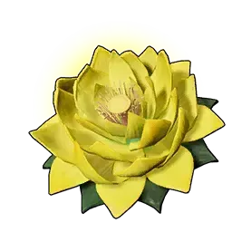 スタミナ・ロータス（大）画像