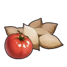 トマトの種画像