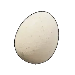 卵画像