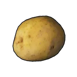 じゃがいも画像