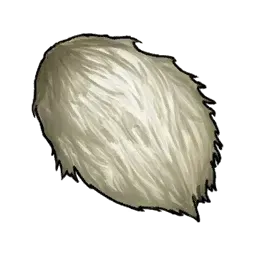コモップの綿毛画像