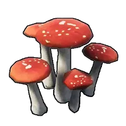 キノコ画像