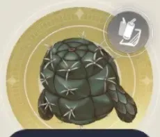 生きサボテンの画像