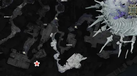 https://img.game8.jp/12774885/c6aeb15a921402e5ec4773594c43ec9d.webp/showのマップ画像