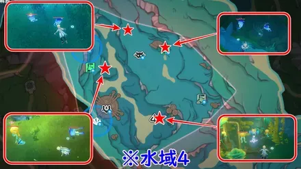 エリア4ボウシクラゲゴールドサファイア