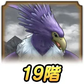 19階
