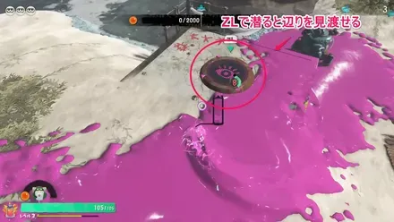 見た目