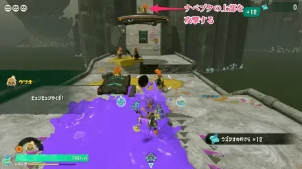 正面にいるナベブタ