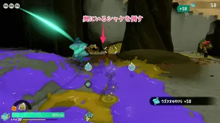 奥にいるシャケ
