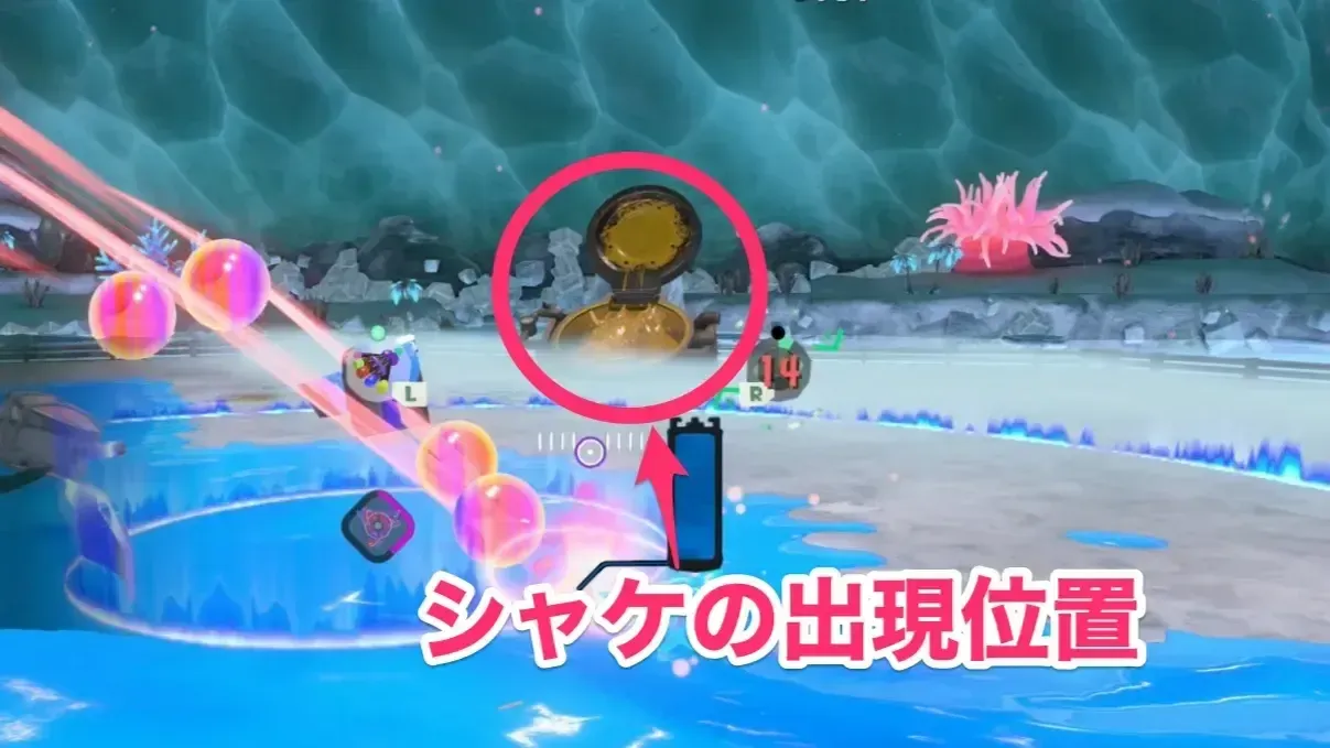 シャケの出現