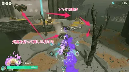 お宝手前のシャケ