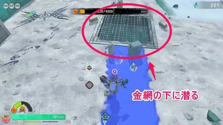 金網をすり抜ける