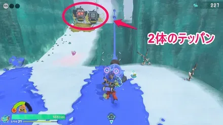 テッパン2匹