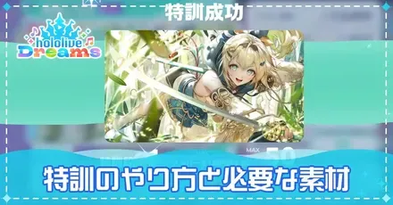 特訓のやり方と必要な素材