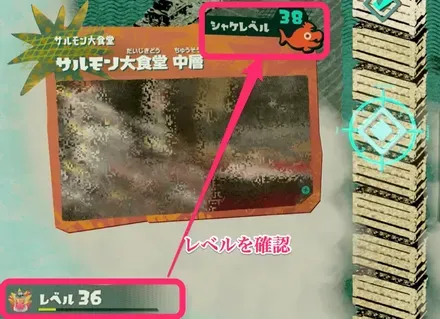 レベル確認