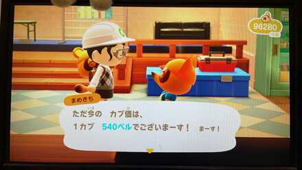 コメント画像