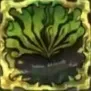 モルボル