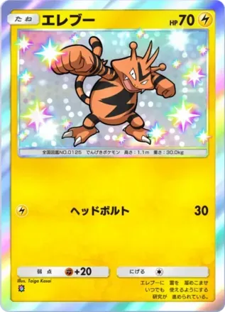 エレブー（B4-208/155）画像