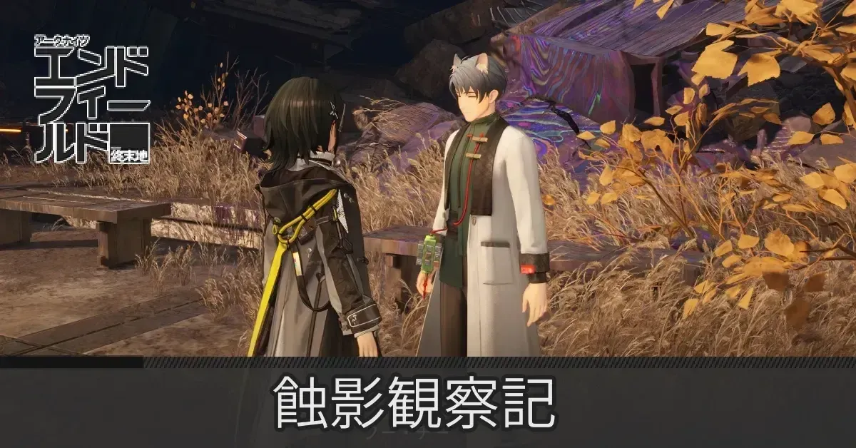 蝕影観察記