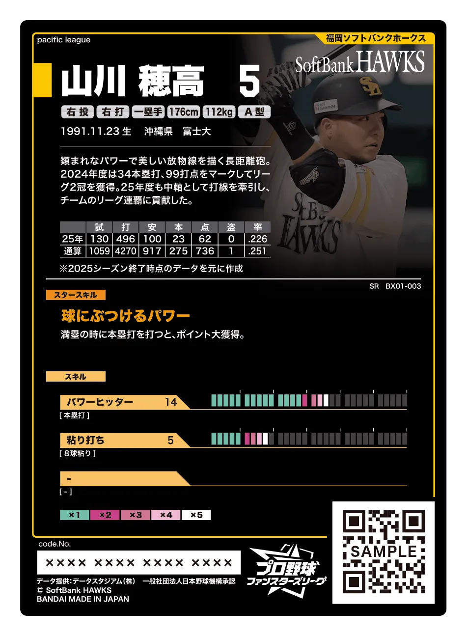 山川 穂高