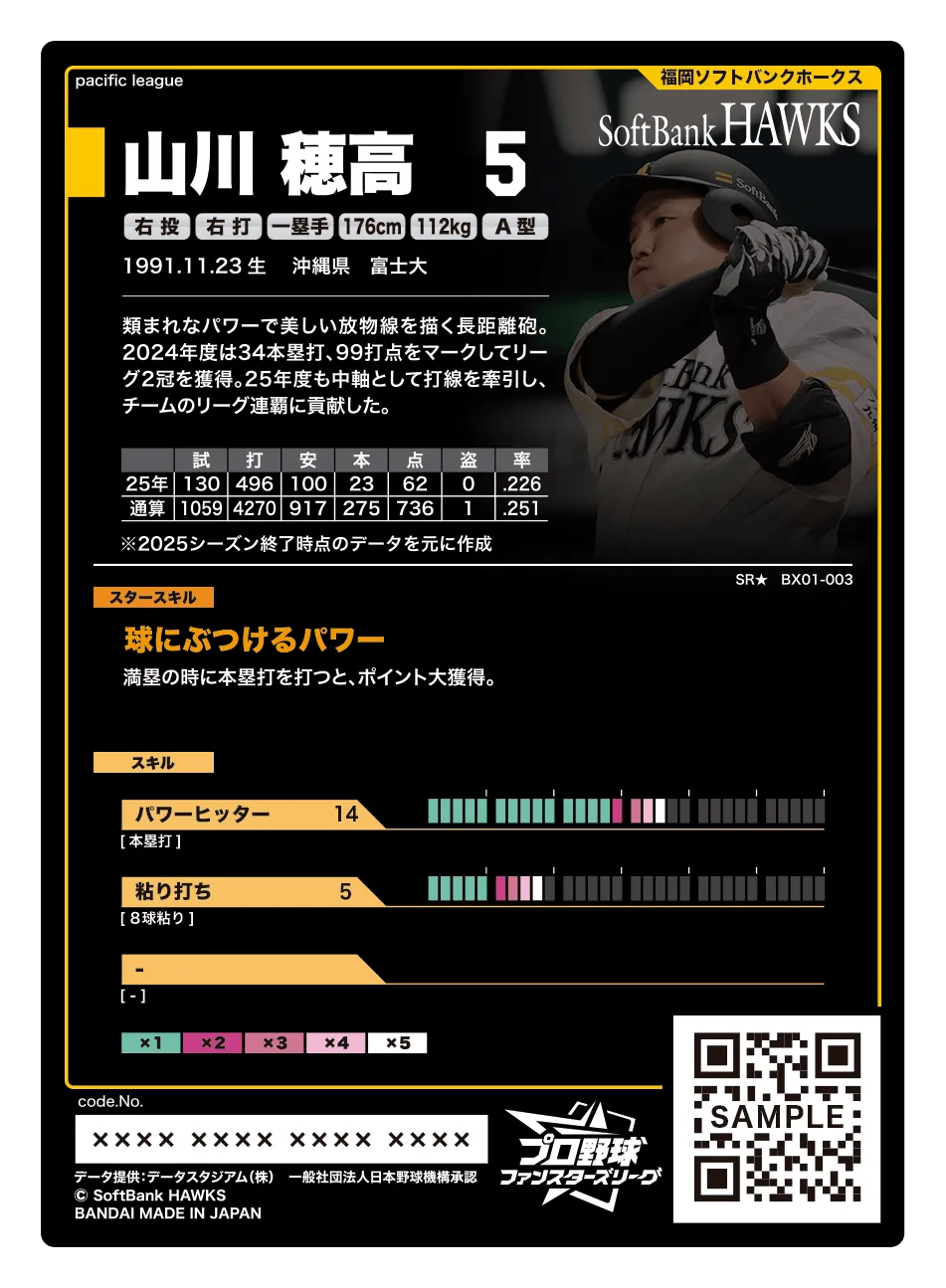 山川 穂高