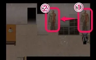 人体模型