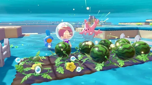 水中の畑