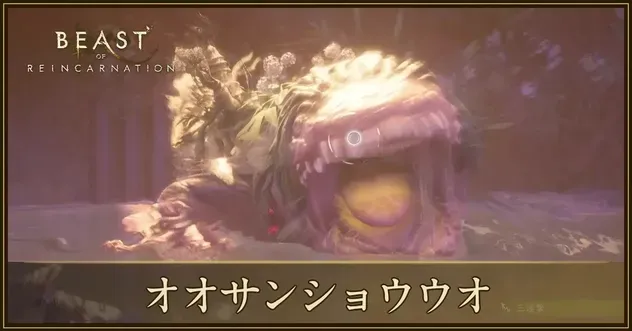 ヌシオオサンショウウオの攻略