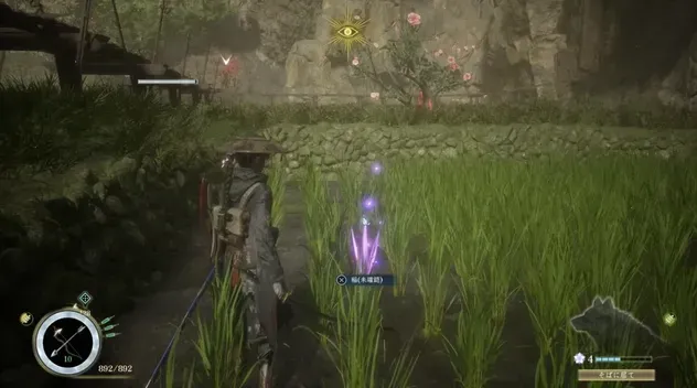 稲