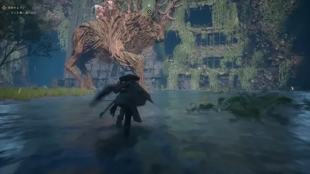 ヌシシカ