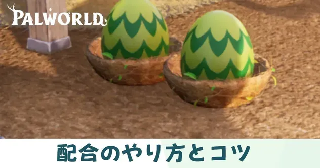 配合サムネ